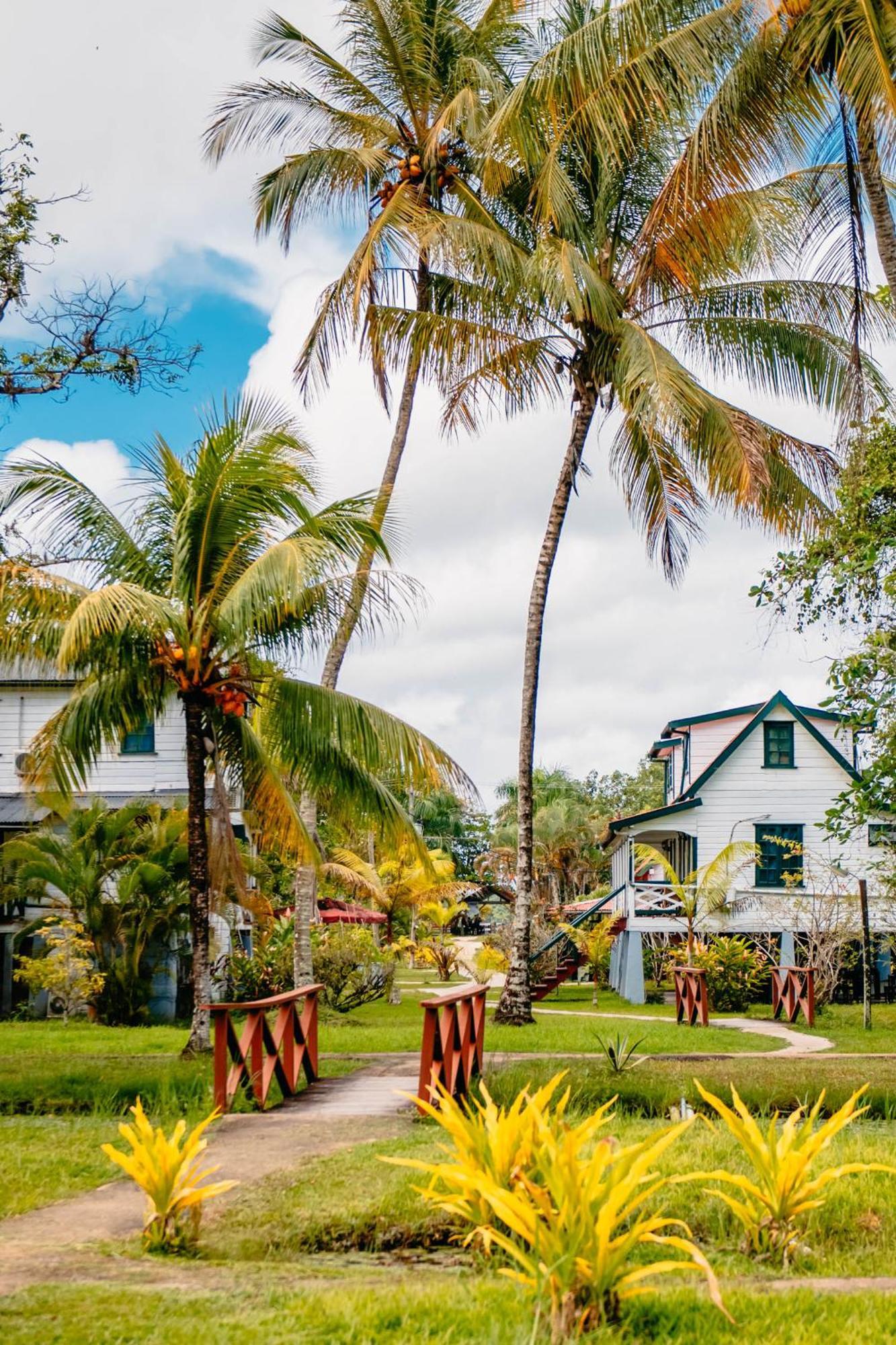 Plantage Resort Frederiksdorp ปารามารีโบ ภายนอก รูปภาพ